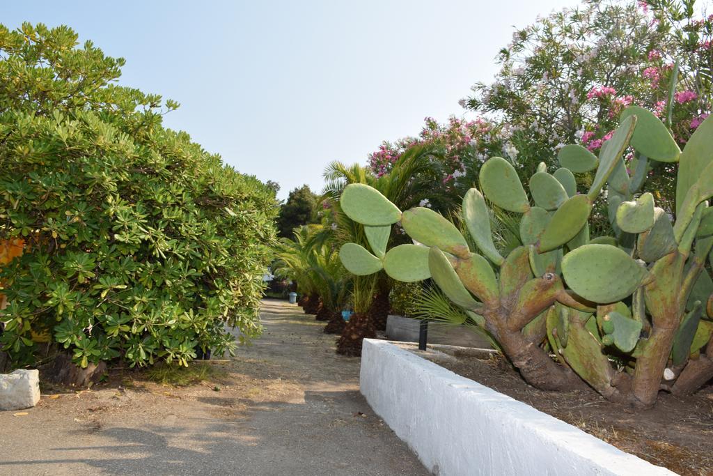 Pellegrino Village Vieste Zewnętrze zdjęcie